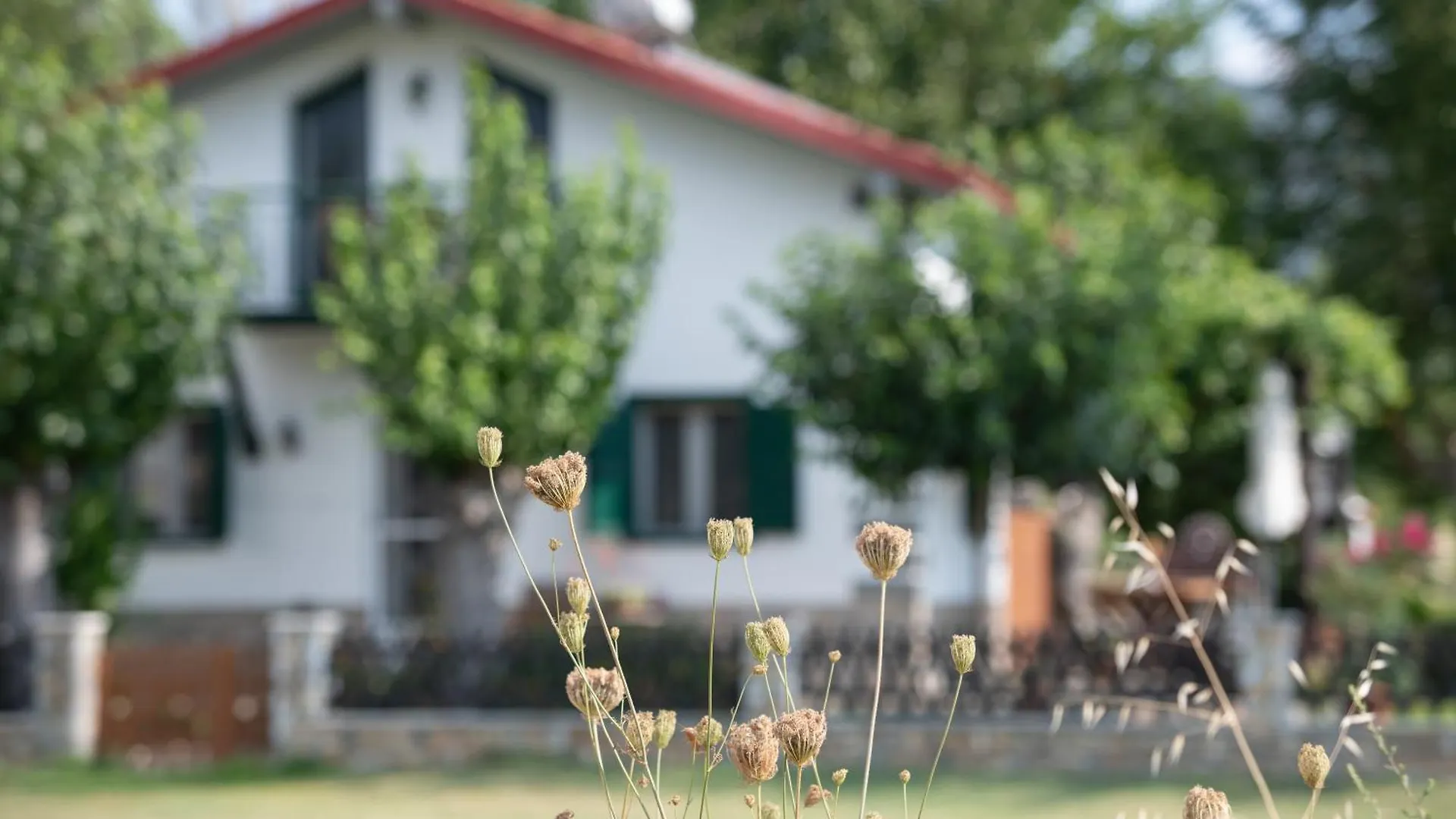 Vila Pratsas House Sykia Chalkidikis Prázdninový dům