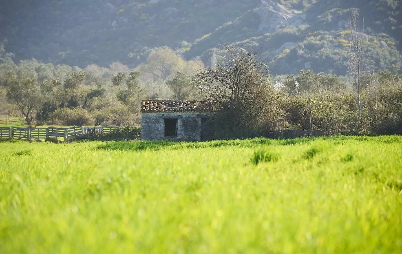Vila Pratsas House Sykia Chalkidikis